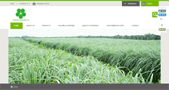Desktop Screenshot of essentialoilvietnam.com